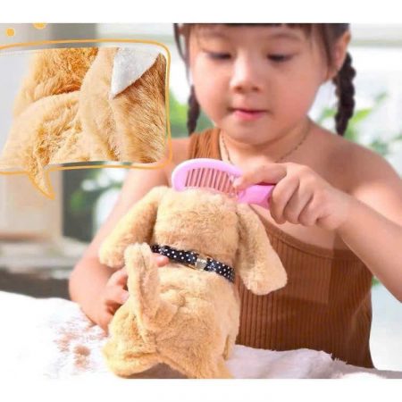 gen-n-z7053542185840_a683a1523b1588ab88aed6c10fe862e2