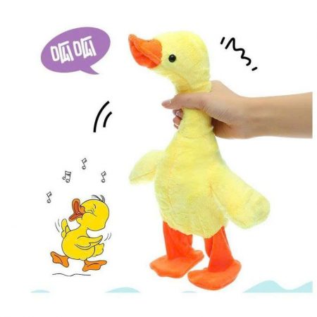 gen-n-z7112913570339_a5e85a1881eb587cf417f2ee602e17c3