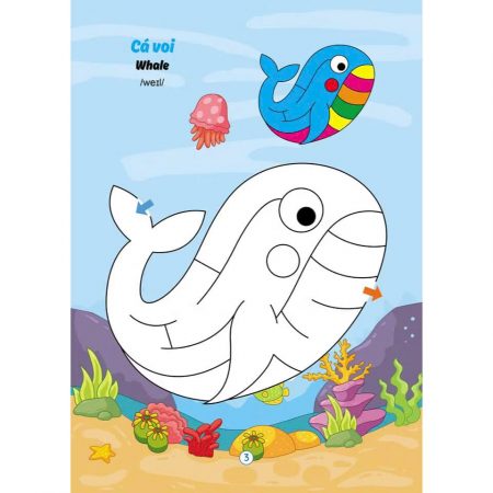 508835819ce613b84af747