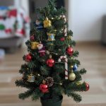 729e41b811de9e80c7cf71