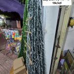 6cedc2868ce003be5af188