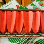 gen-h-z7659836314150_b619c26d074d6efb79eb3103f798acad