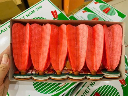 gen-h-z7659836308964_c42ca22f224383a373dbdca2ada5f2dd