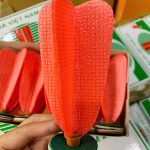 gen-h-z7659836314150_b619c26d074d6efb79eb3103f798acad