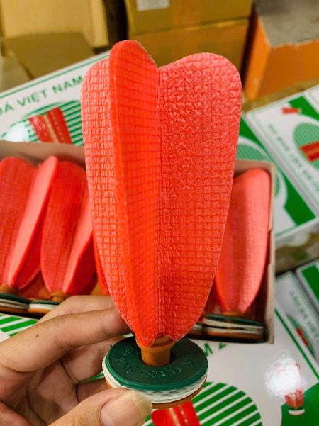 gen-h-z7659836314150_b619c26d074d6efb79eb3103f798acad