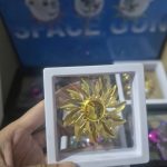 gen-n-z7659947395050_49e39300193193ac71986f1b1504e2b3