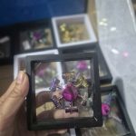 gen-n-z7659947395050_49e39300193193ac71986f1b1504e2b3